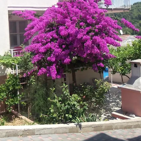 Lucija *