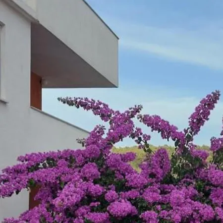 Apartment Lucija